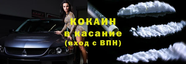 шишки Абинск