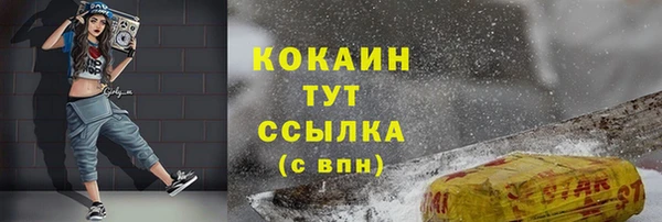 шишки Абинск