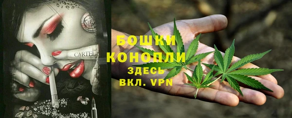 шишки Абинск