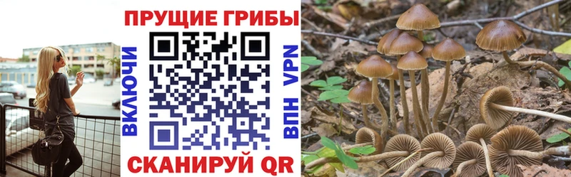 Псилоцибиновые грибы мухоморы  как найти   omg ссылка  Ясный 